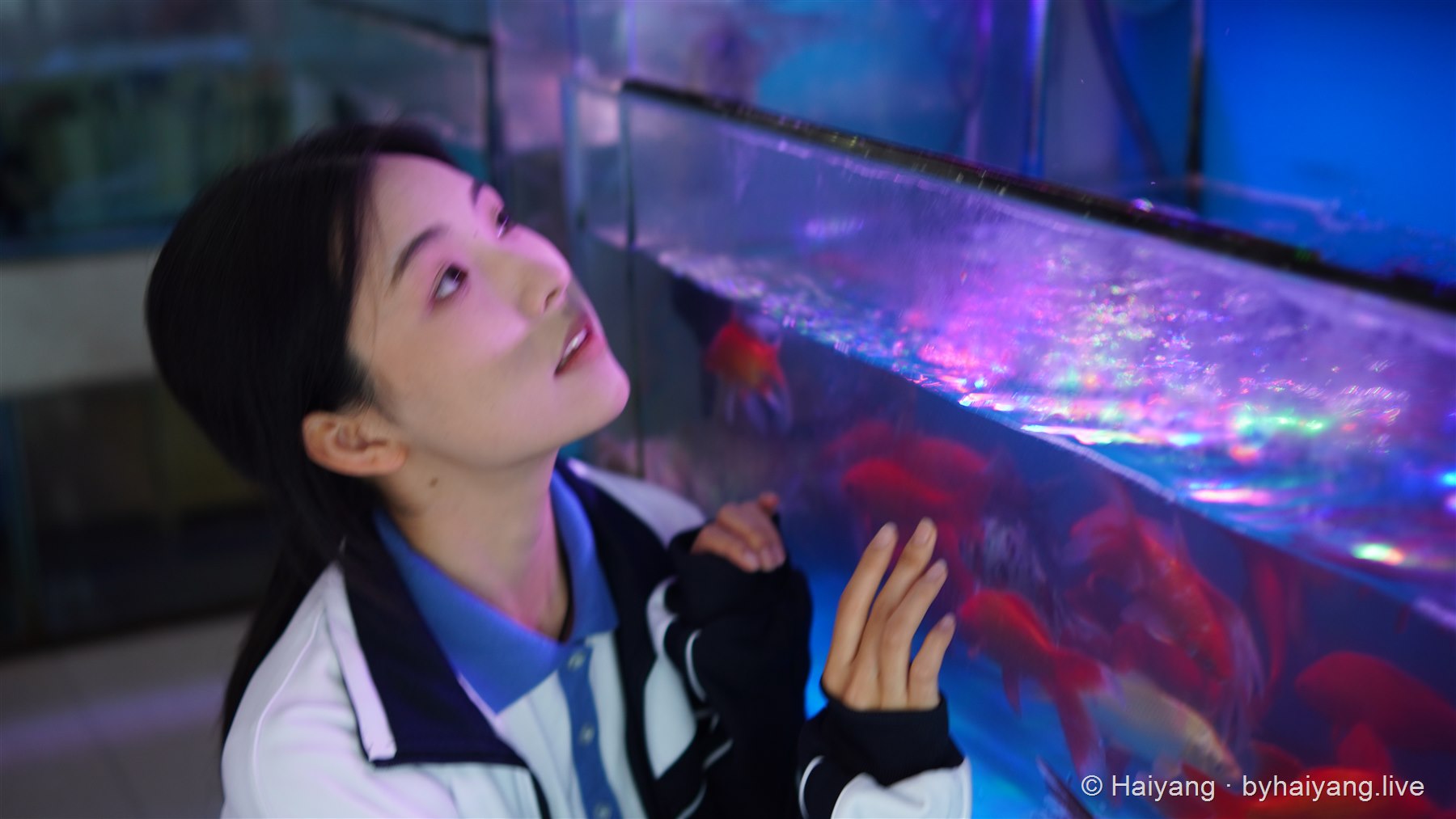 两位学生在蓝色水族箱前